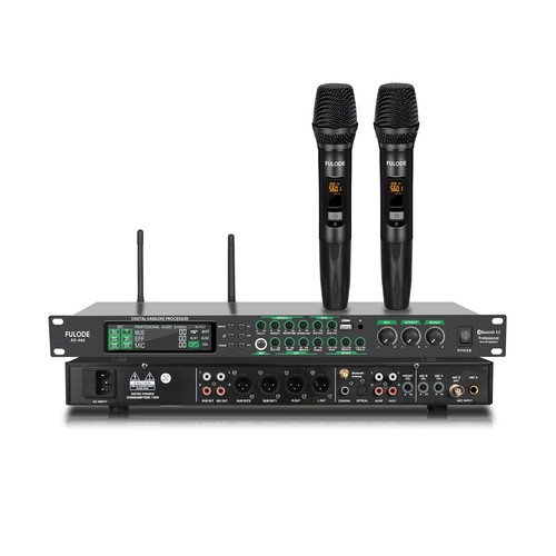 666 professional karaoke - ax-666,