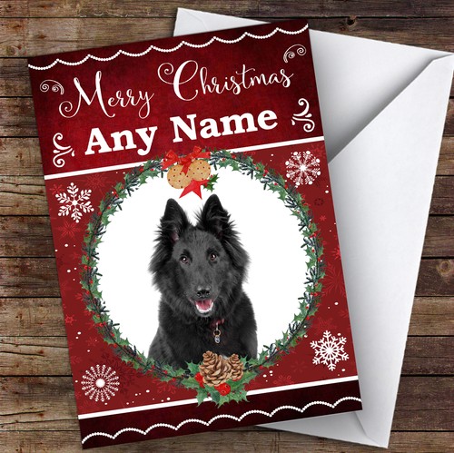 Belgian shepherd sheepdog - shepherd, dog