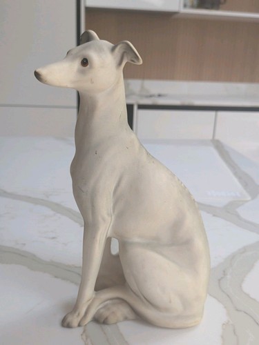 Vintage charisma greyhound - vintage,