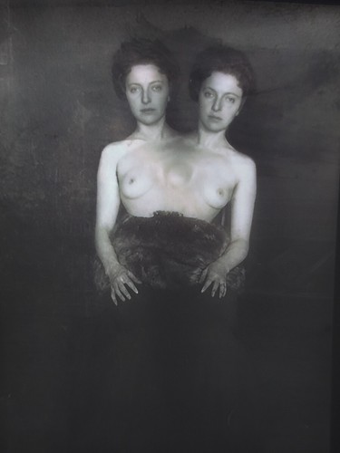 Vintage negative siamese - -,