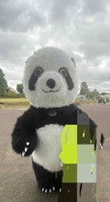panda costume