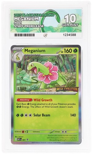 Ace meganium 001 - meganium,