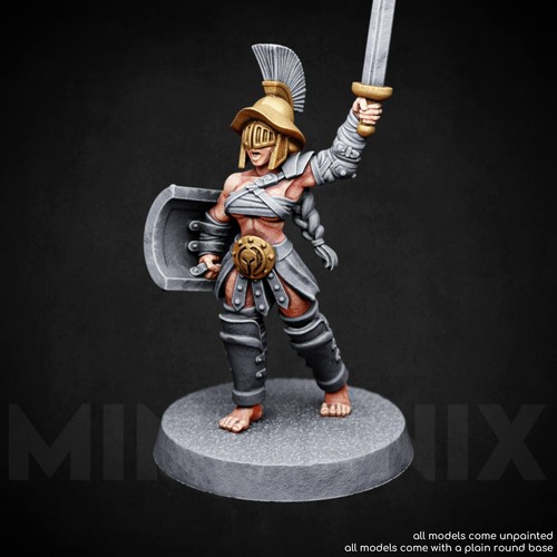 Female gladiator fighter - female,