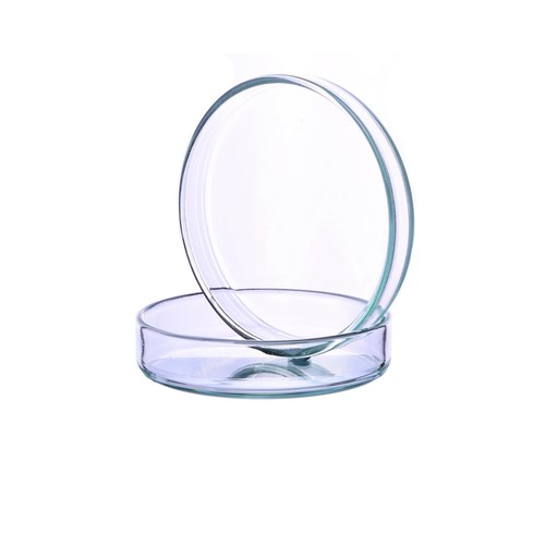 Glass petri dishes 60mm 12mm - petri,