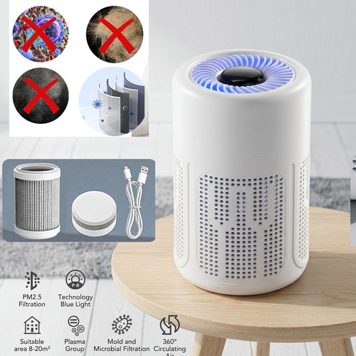 Air purifier for - air,