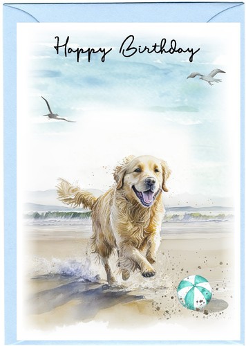 Golden retriever dog - retriever,