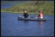 606058 Canoeing Myakka River