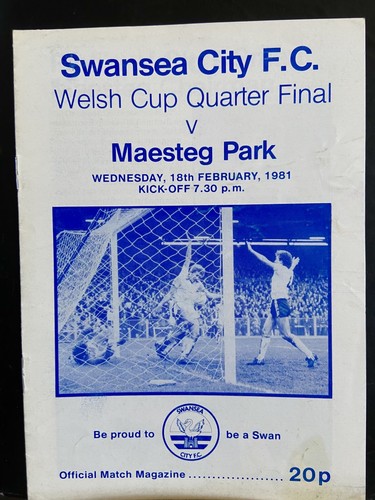 Maesteg park swansea city - maesteg,