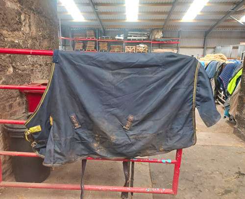 Asker 100g turnout rug - 100g,