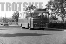 35mm Black and White Negative
