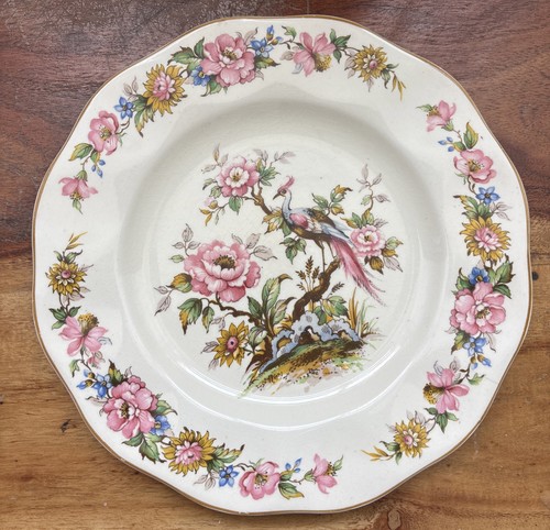 Wedgwood co canterbury - co,