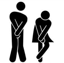 TOILET DOOR SIGN STICKER