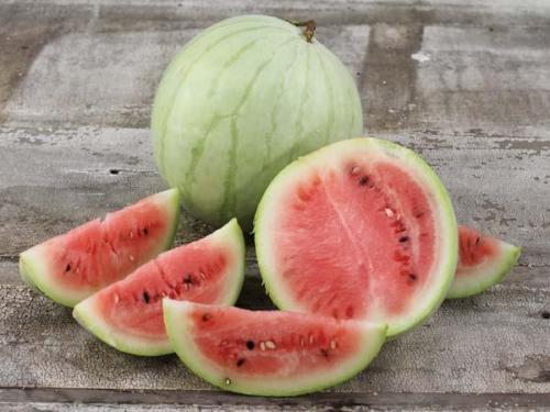 Navajo winter watermelon - navajo, 10+