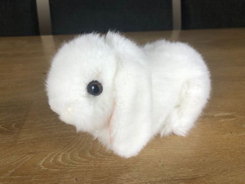Lop eared rabbit - eared, soft