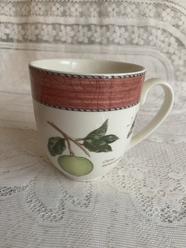 Wedgewood sarah garden - wedgewood, sarah’s