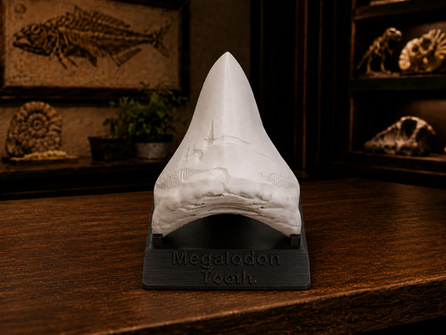 White megalodon tooth replica - white,