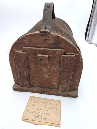 Antique homing pigeon - pigeon, carrier