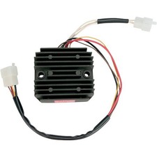 Ricks Electric Regulator