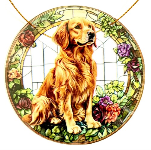 Golden retriever dog puppy - golden,