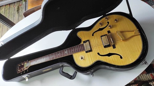 Levin lf10 archtop guitar - lf10,