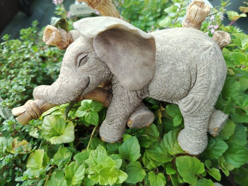 Tuskers elephants worn out - elephants, “worn