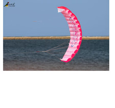 Dual Line Parafoil Kite