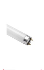 36w T8 Coolwhite/840 1200mm