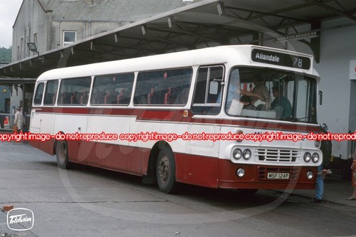 Bus photo midland bluebird - -,