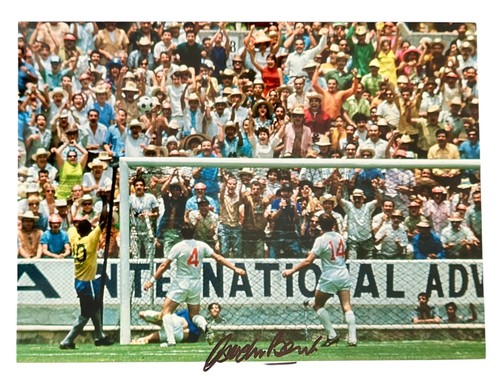 Gordon banks hand - gordon,