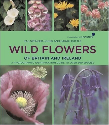 Wild flowers britain and - wild,