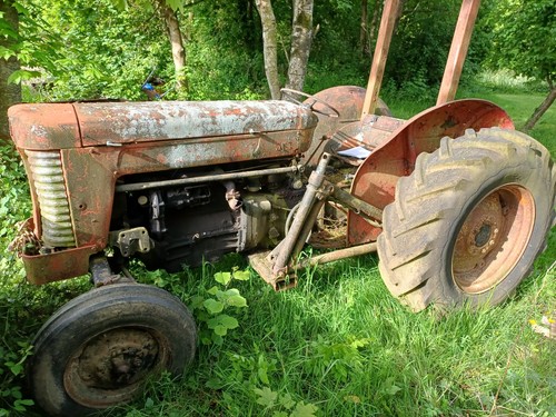 Massey ferguson tractor - massey, 65