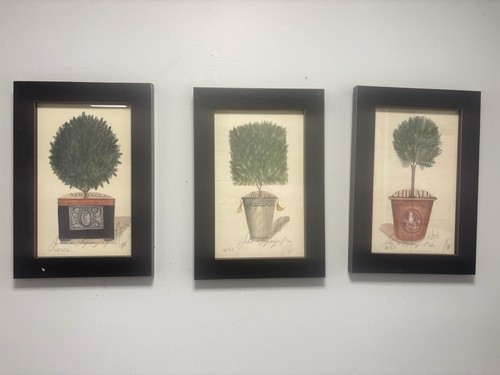 Set framed botanical - of,