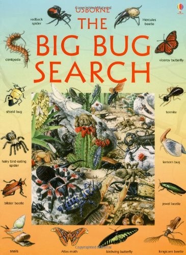 The big bug - search, (usborne
