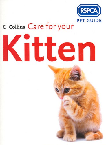Care for your kitten