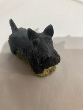 Scottish Terrier Type Dog