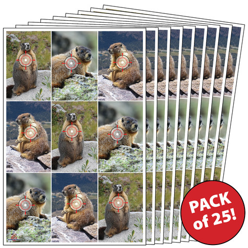 Paper shooting targets for - 25,