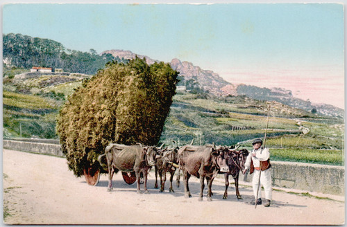 Spain vigo 1910 carreta - carreta, de