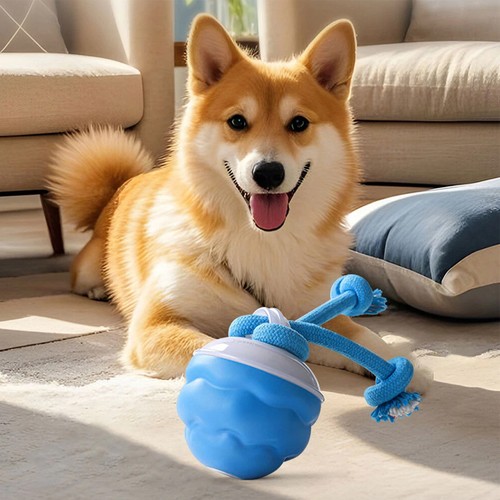 The chase buddy dog boredom - the,