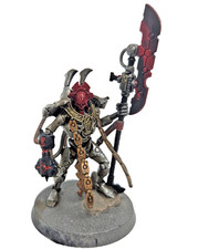 Warhammer 40k Overlord With Tachyon Arrow Necrons Royal Court Xenos Painted GW