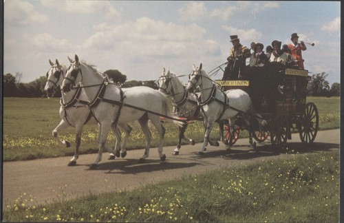 Vintage the norwich union - the,