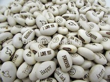 New Magic Message Seeds Fun Novelty Beanstalk Beans Plant Grow Garden Gift UK