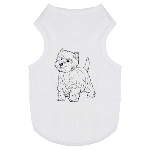 West highland terrier pet - 'west,