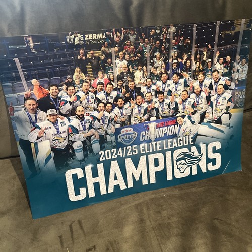 Official belfast giants - belfast,