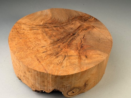 Amazing burr elm wood - burr,