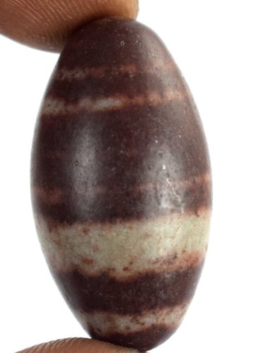 Natural shiva lingam gram - natural,