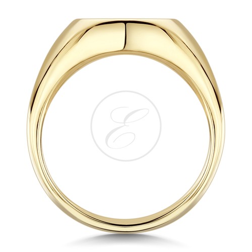 9ct signet ring yellow gold - ,