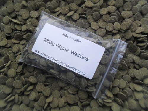 Premium algae wafers pleco - algae,