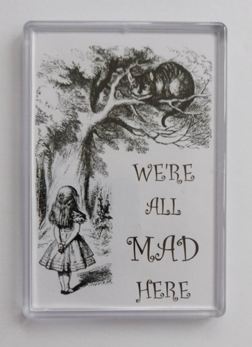 Extra large fridge magnet - extra,