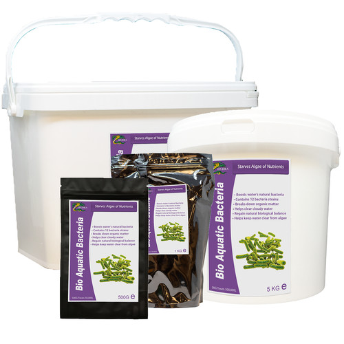 Hydra bio aquatic bacteria - hydra,
