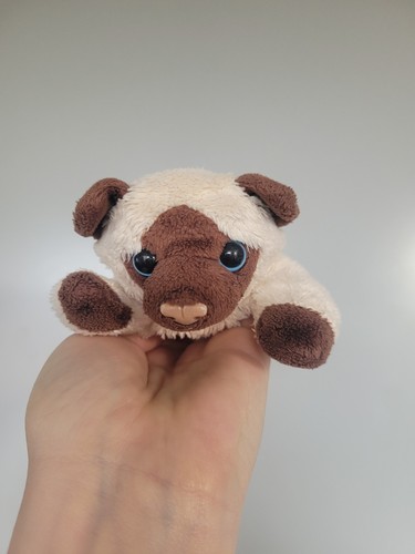 Collectable the cuddle - cuddle, crew
